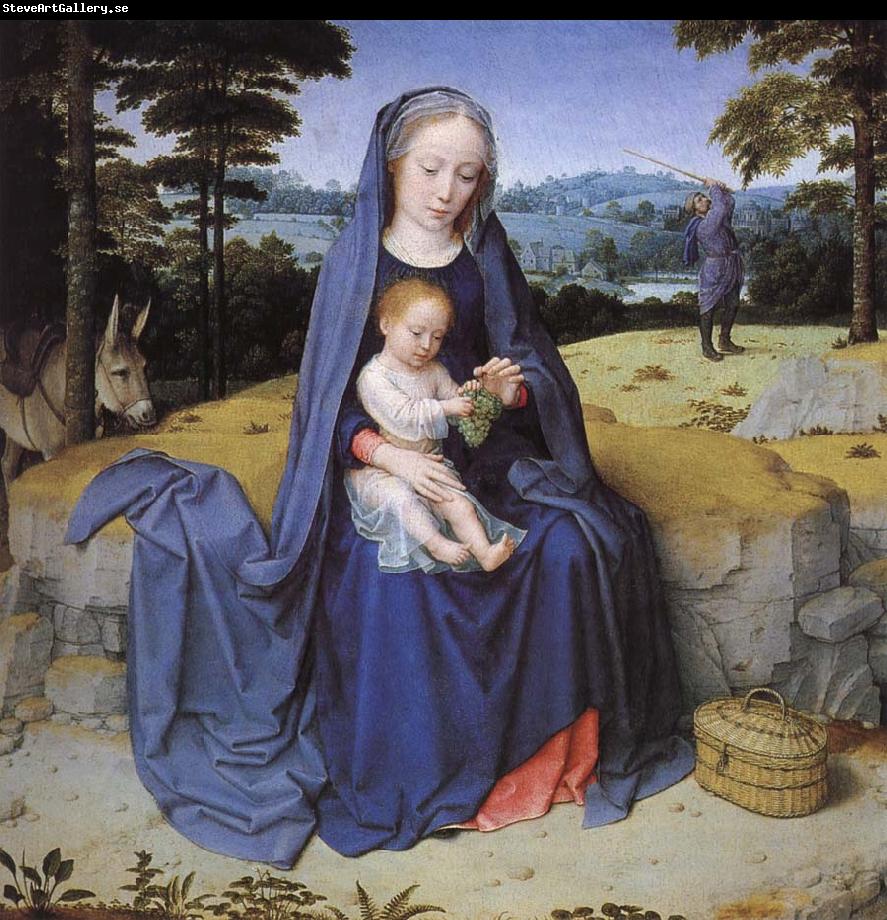 Gerard David Vila during the flight to Egypt